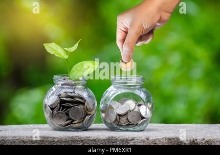 Mettre de l'argent main Billets Bouteille Image de l'arbre avec des billets de banque d'affaires de plus en plus sur le haut fond naturel vert l'économie d'argent et d'investissement fi Banque D'Images