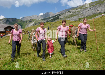 Engstlenalp, Suisse - 4 août 2018 : la gc décorées de fleurs et de drapeaux sur la transhumance annuelle sur l'Engstlenalp à Alpes Suisses Banque D'Images