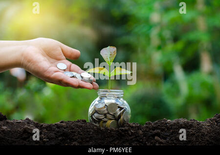 Mettre de l'argent main Billets Bouteille Image de l'arbre avec des billets de banque d'affaires de plus en plus sur le haut fond naturel vert l'économie d'argent et d'investissement fi Banque D'Images