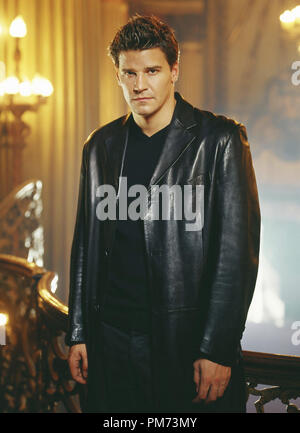 Publicité studio de toujours 'Angel' David Boreanaz vers 2001 Crédit photo : Frank Ockenfels Référence de fichier #  308471698THA pour un usage éditorial uniquement - Tous droits réservés Banque D'Images