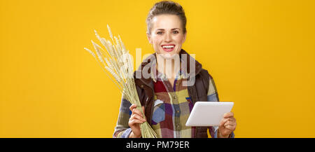 Des aliments sains à votre table. happy young woman farmer en chemise à carreaux isolé sur fond jaune avec des épillets de blé à l'aide de Tablet PC Banque D'Images