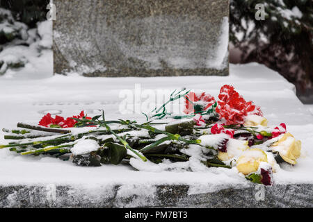 Moscou, Russie - 31 janvier 2018 : Fleur sur Tombe de Joseph Staline devant le mur du Kremlin. Nécropole du mur du Kremlin en hiver Banque D'Images