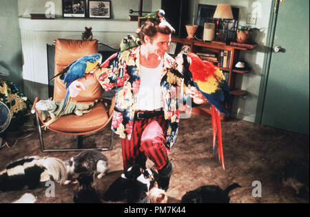 Photo du film de 'Ace Ventura : Pet Detective' Jim Carrey © 1994 Warner Brothers Référence #  31129464THA pour un usage éditorial uniquement - Tous droits réservés Banque D'Images