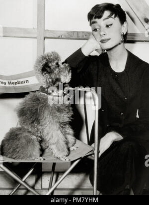 (Archivage classique du cinéma - Audrey Hepburn rétrospective) Audrey Hepburn, vers 1953 référence #  31569 031THA Banque D'Images