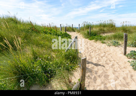 Une voie avec des empreintes, délimité par une clôture sur la dune de sable couverte d'herbes folles, derrière la plage du Guesclin sur le littoral breton. Banque D'Images