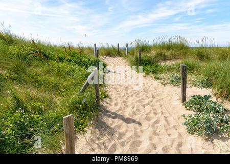 Une voie avec des empreintes, délimité par une clôture sur la dune de sable couverte d'herbes folles, derrière la plage du Guesclin sur le littoral breton. Banque D'Images