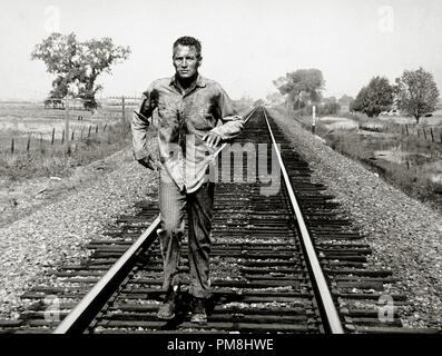 (Archival Classic Cinema - Paul Newman Retrospective) 'Cool Hand Luke', Paul Newman 1967 Warner référence de fichier # 31510 021THA Banque D'Images