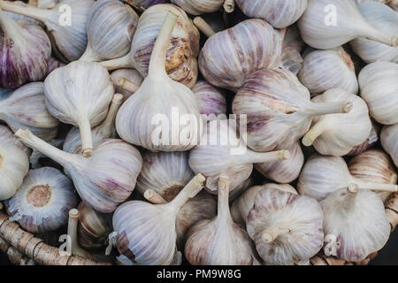 Pile l'ail blanc de la texture. L'ail frais sur la table du marché photo gros plan. Banque D'Images