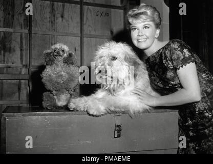 Doris Day, 'Veuillez ne pas manger les pâquerettes', 1960 Référence de dossier MGM 32509 998THA Banque D'Images