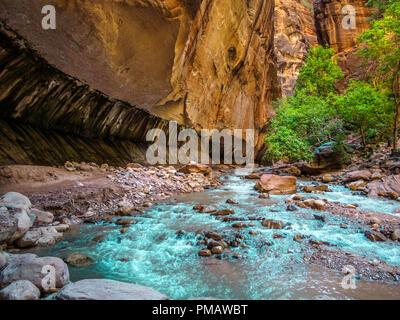 Zion Narrows Banque D'Images