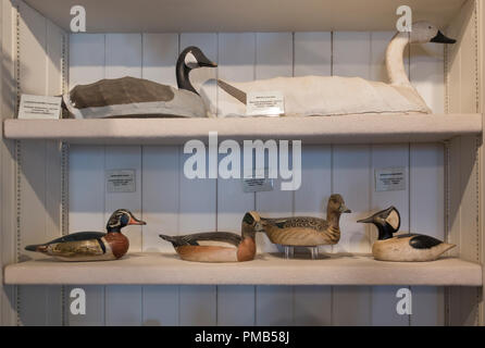 Atlantic Wildfowl Heritage Museum Virginia Beach Banque D'Images