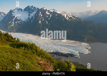 Spencer Banc Glacier, Alaska, la Forêt Nationale de Chugach. Banque D'Images