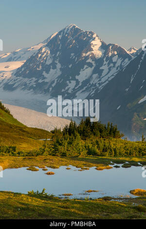 Randonnée au Glacier Spencer, banc, la Forêt Nationale de Chugach Alaska. Banque D'Images