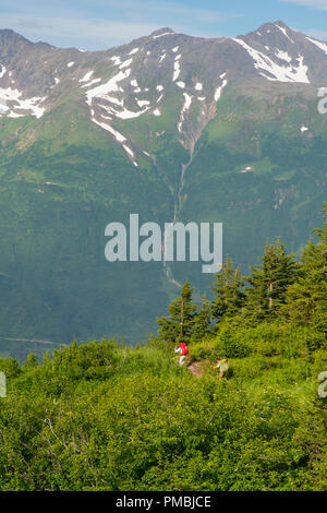 Randonnée au Glacier Spencer cabine, banc, la Forêt Nationale de Chugach Alaska. Banque D'Images