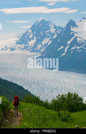 Randonnée au Glacier Spencer cabine, banc, la Forêt Nationale de Chugach Alaska. Banque D'Images