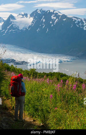 Randonnée au Glacier Spencer cabine, banc, la Forêt Nationale de Chugach Alaska. Banque D'Images