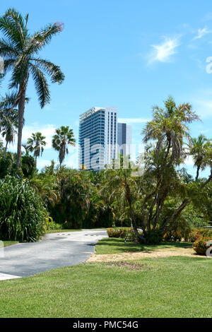 Vue panoramique d'un bâtiment et plam arbres à Miami. Banque D'Images