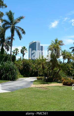 Vue panoramique d'un bâtiment et plam arbres à Miami. Banque D'Images