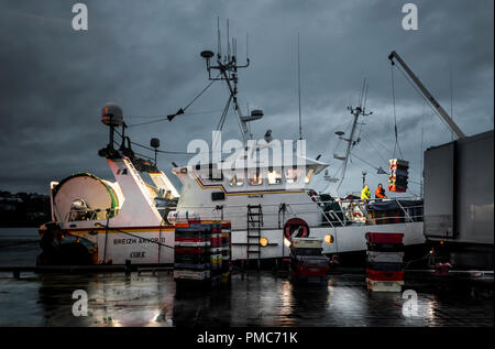 Kinsale, Cork, Irlande. 27 mai 2017. L'équipage du chalutier Breizh Arvor II Décharger une prise de crevette tout droit jusqu'à un conteneur réfrigéré à l'ip Banque D'Images