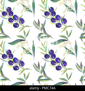 Branches d'olive noire avec fruits, fleurs et feuilles, seamless pattern design, illustration aquarelle peinte à la main Banque D'Images