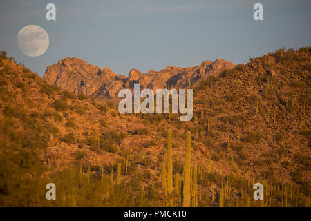 La pleine lune se lève sur les montagnes Tortolita. De l'Arizona. Banque D'Images