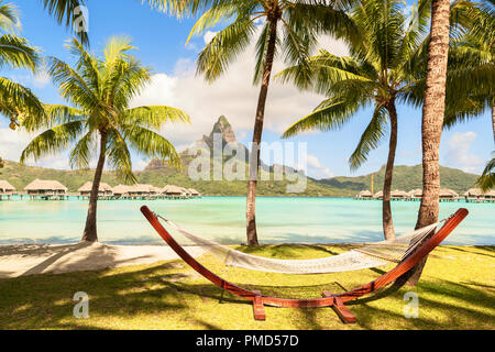 Hamac vide entre les palmiers sur la plage tropicale avec vue splendide Banque D'Images