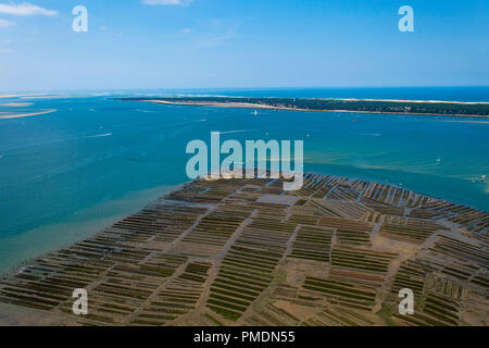 Arcachon (sud-ouest de la France) : Vue aérienne d'huîtres. Les parcs à huîtres du banc de sable près de la grande "Ile aux oiseaux" (Bird's Island), avec le Banque D'Images