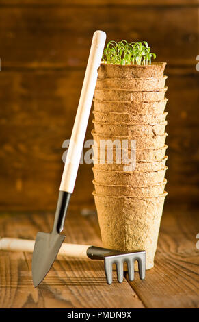 Pots biodégradables et râteau sur fond de bois Banque D'Images