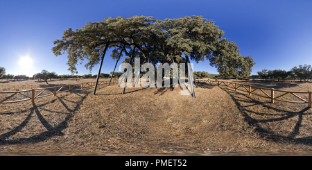 Vue panoramique à 360° de Encina Terrona