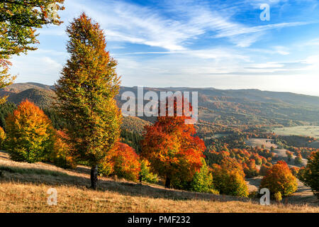 Paysage de collines couvertes de forêts à l'automne Banque D'Images