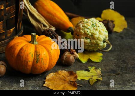 Thanksgiving automne automne fond avec citrouilles feuilles d'érable d'écrous borgnes sur cadre rustique, copy space Banque D'Images