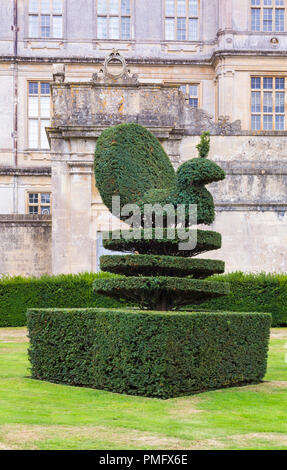 Topiaire Peacock à Longleat Wiltshire, Royaume-Uni en septembre Banque D'Images