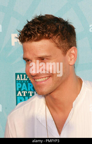 'FOX All-Star party au Pier' David Boreanaz 7-14-2008 / Santa Monica Pier / Santa Monica, CA / Fox / Photo par Joseph Martinez référence #  23566 Fichier 0076PLX pour un usage éditorial uniquement - Tous droits réservés Banque D'Images