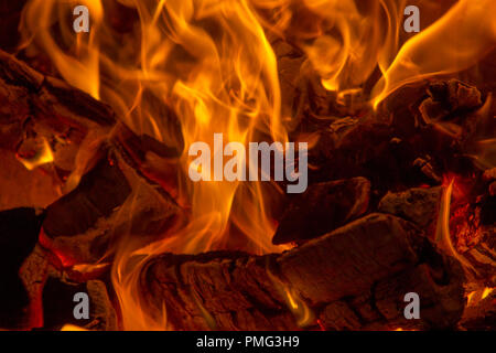 La combustion du charbon et des journaux en flammes de la cheminée sur fond noir Banque D'Images