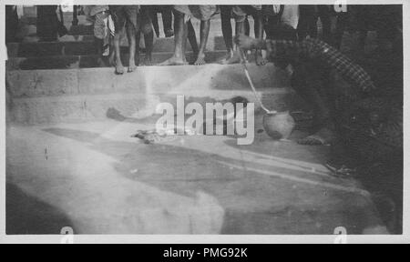 Photographie en noir et blanc sur papier cartonné, avec une image, tourné à partir d'un angle faible, d'un homme vêtu d'un kurta vérifié, accroupi à tirer un serpent dans un panier, avec deux autres serpents, en demi-postes, enroulée sur le sol en face de lui, et avec le dhoti-clad jambes de plusieurs spectateurs visible à l'arrière-plan, probablement perçus comme un souvenir touristique lors d'un voyage en Asie du Sud (Inde), 1910 probablement. () Banque D'Images