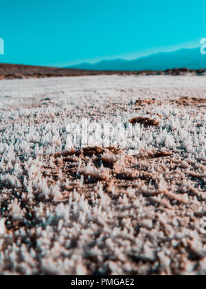 Le sel est grosse jusqu'à partir du sol sur une journée ensoleillée au coeur de la vallée de la mort Banque D'Images