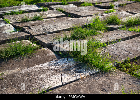 Pierres tombales de l'ancien cimetière juif de Bayonne (Aquitaine - France). Il est considéré comme le plus ancien et le plus grand cimetière juif en France. Banque D'Images