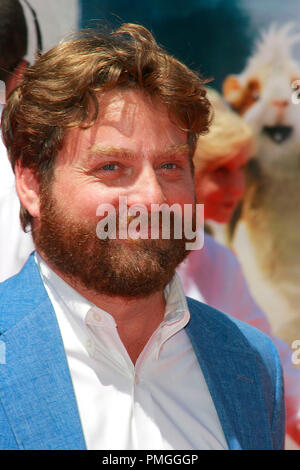 Zach Galifianakis lors de la première mondiale de Disney Pictures' G-Force'- arrivants tenue au El Capitan Theatre à Hollywood, CA, le 19 juillet 2009. Photo par : Joseph Martinez/PictureLux 30045 Numéro de référence de dossier 56PLX pour un usage éditorial uniquement - Tous droits réservés Banque D'Images