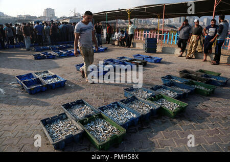 (180918) -- Gaza, 18 septembre 2018 (Xinhua) -- les pêcheurs palestiniens afficher leurs prises dans le port maritime de Gaza, dans la ville de Gaza, le 17 septembre, 2018. Pour aller avec fonctionnalité : les pêcheurs de Gaza luttent pour survivre au milieu d'Israël les restrictions maritimes (Xinhua/Stringer) (côté droit) Banque D'Images