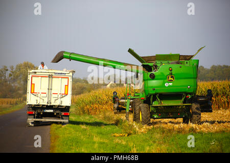 La Pologne, la Mazovie, Septembre 18th, 2018 : la récolte de maïs a commencé en Mazovie. ©Madeleine Ratz/Alamy Live News Banque D'Images