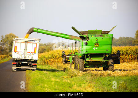 La Pologne, la Mazovie, Septembre 18th, 2018 : la récolte de maïs a commencé en Mazovie. ©Madeleine Ratz/Alamy Live News Banque D'Images