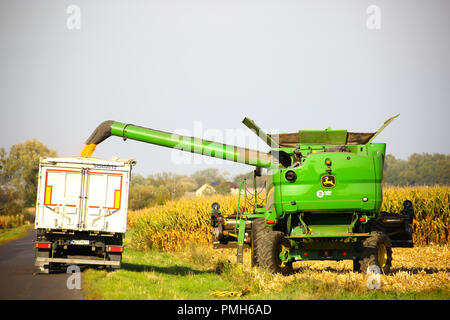 La Pologne, la Mazovie, Septembre 18th, 2018 : la récolte de maïs a commencé en Mazovie. ©Madeleine Ratz/Alamy Live News Banque D'Images