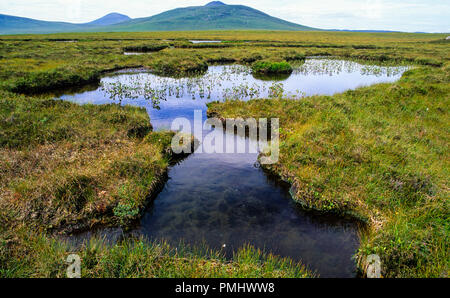 The Flow Country, les derniers lieux sauvages du monde, Highlands, Écosse, Royaume-Uni, GB. Banque D'Images