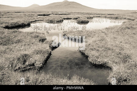 The Flow Country, les derniers lieux sauvages du monde, Highlands, Écosse, Royaume-Uni, GB. Banque D'Images