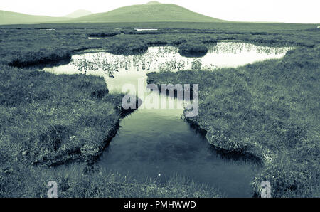 The Flow Country, les derniers lieux sauvages du monde, Highlands, Écosse, Royaume-Uni, GB. Banque D'Images