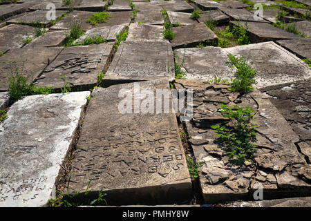 Pierres tombales de l'ancien cimetière juif de Bayonne (Aquitaine - France). Il est considéré comme le plus ancien et le plus grand cimetière juif en France. Banque D'Images