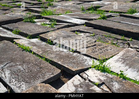 Pierres tombales de l'ancien cimetière juif de Bayonne (Aquitaine - France). Il est considéré comme le plus ancien et le plus grand cimetière juif en France. Banque D'Images