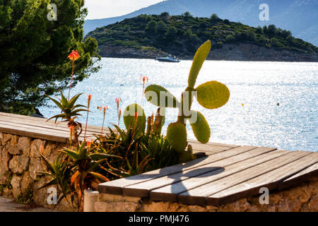 Belles impressions mediteran, palmiers, mur de la maison et du ciel. Banque D'Images
