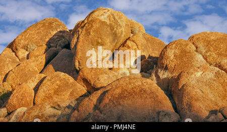 Jumbo Rocks en fin d'après-midi du soleil. Banque D'Images