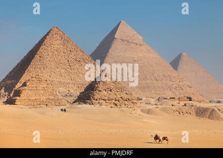 Les chameaux de promenades à travers le désert de sable sur le plateau près de Gizeh Les pyramides de l'Égypte Banque D'Images